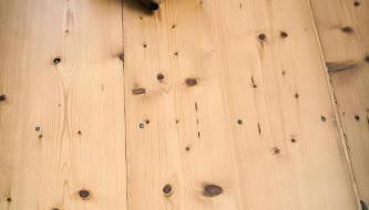 Ferienwohnung Oberförsterei Sosa I - Foto 4