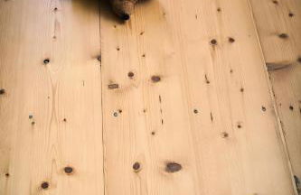 Ferienwohnung Oberförsterei Sosa I - Foto 4