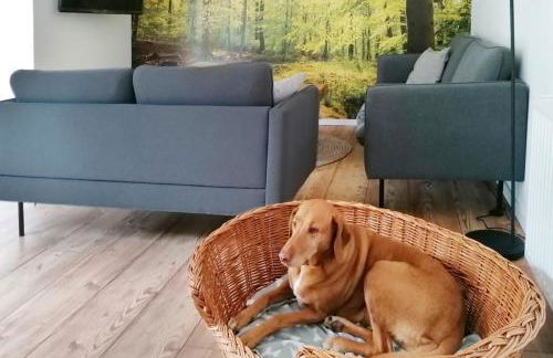 Ferienhaus BB2 - Foto 17