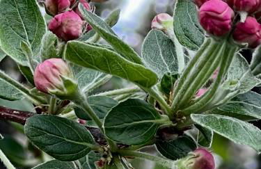 Espacio Shangrila.One - Foto 77