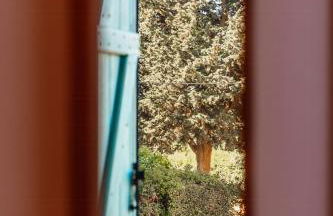 Eco-Friendly Cottage In Frontignan Wine Estate - Foto 13