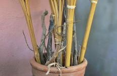 Casa Anna Maria - Foto 17