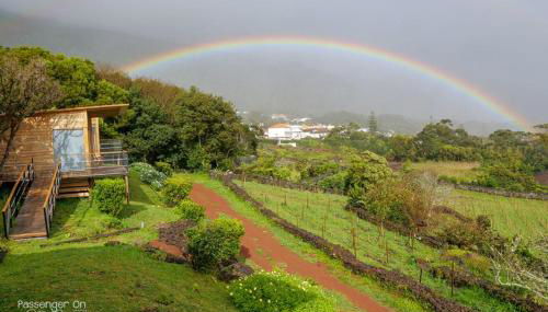 Intact Farm Resort - Photo 3, Garden view