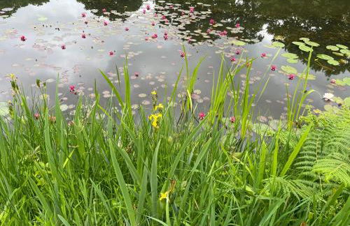 Lake View - Photo 16