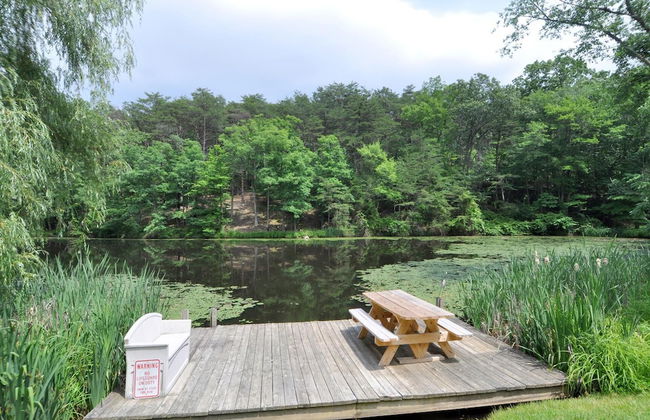 Pondview Cabin - Log Cabin Retreat - Foto 26