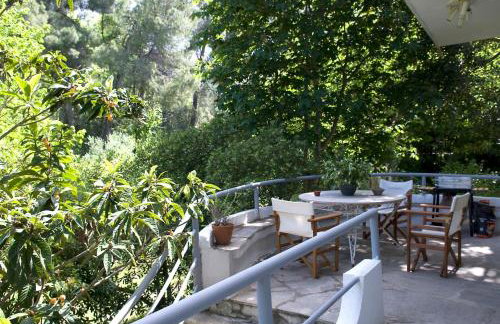 Spacious Villa close to an amazing Sithonia beach - Foto 15