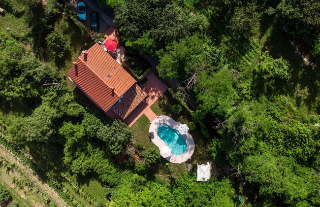 Pool House Ancka - Foto 44