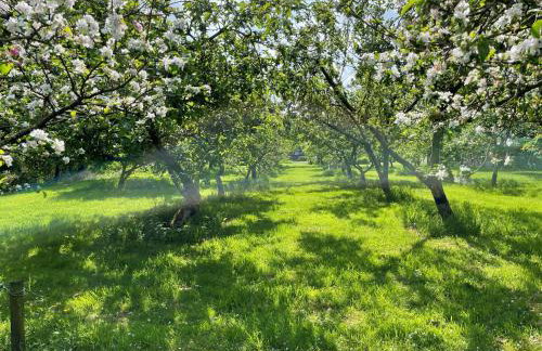 The Coach House Annex - Foto 29