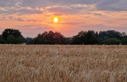 Meublé 5* Au gré des saisons - Photo 7