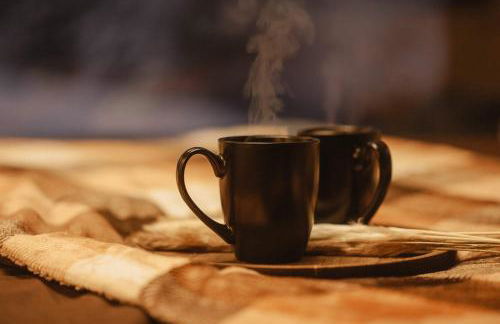 Homnest - Clairiere des Animaux - 1h de Toulouse - Photo 36