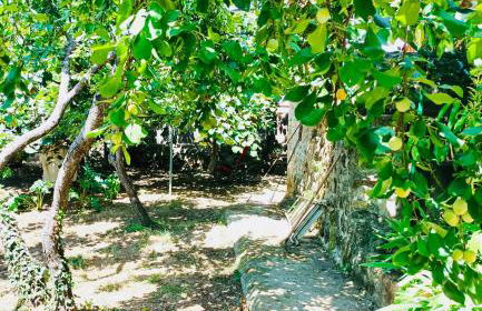 Casa rural Aloha Vera - Foto 41