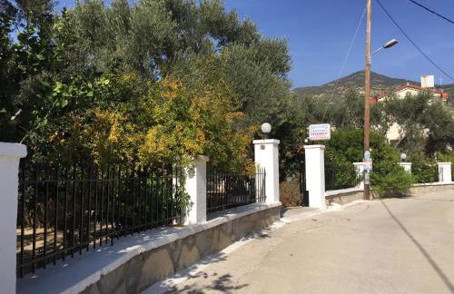 Livanina apartments - Foto 44