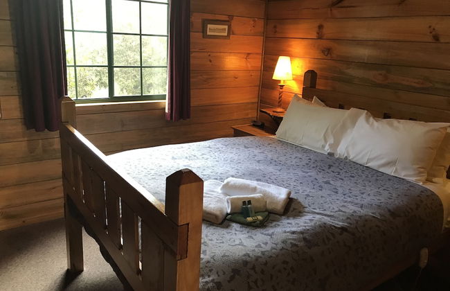 Cradle Highlander - Foto 30