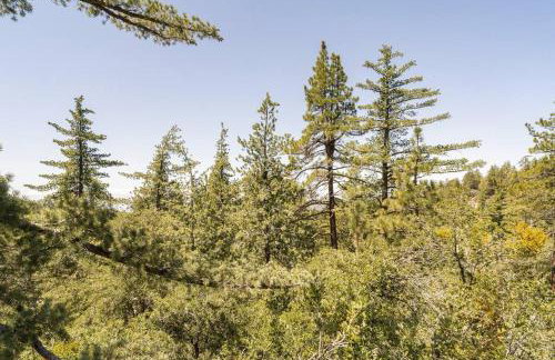 Dog Friendly A-frame Hot Tub Nature Views - Foto 39