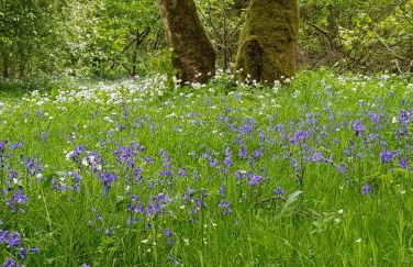 Lower Turnerford Farmhouse - Foto 9