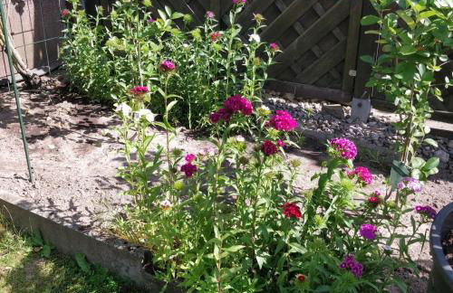 Gästehaus am Teich - Foto 7