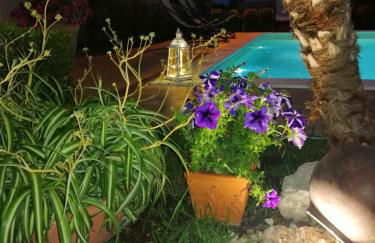 Casa Vacanze Etna Cocus - Foto 57