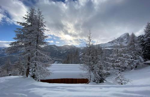 La ciasota - Photo 42