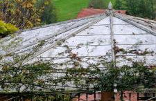 Villino Ca' Bianca, vicino ad Alba, NO ZANZARE, accessibile e con sollevatori aerei - Foto 43