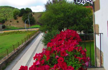 Txantxorena - Foto 24