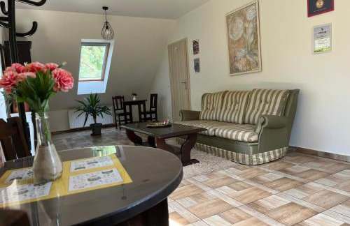 Koci Grzbiet Agroturystyka - Foto 54