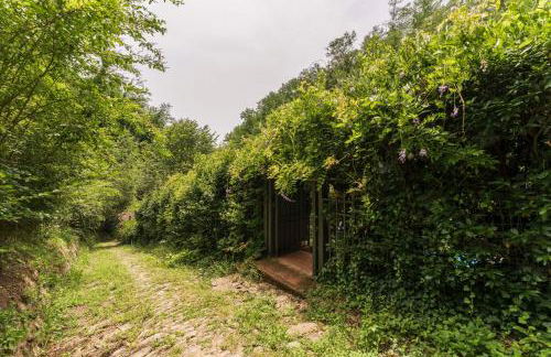 Mulino di Castelvecchio - Foto 50