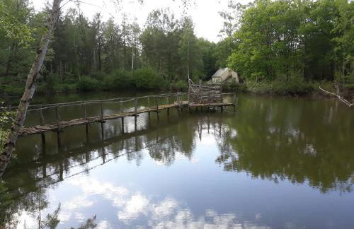 Proche le Mans, Parigné l'Evêque,maison forestière, accueil chevaux possible 11 pers - Foto 11