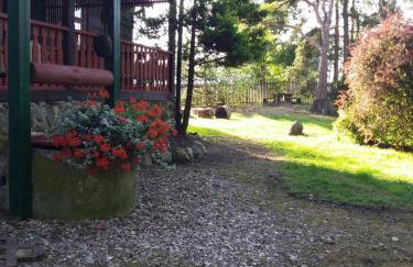 Siedlisko Nasza Chata - Foto 28