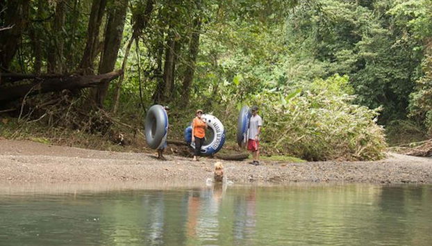 Collecting the floats