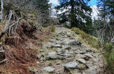 Ferienwohnung Wildgatter - Photo 31