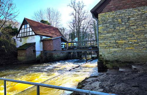 Grand Westfalia - Foto 38