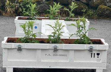 The Space at the Creamery - Royal Deeside - Foto 31