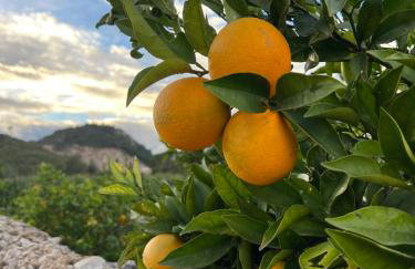 Casa Conxin Beach & Mountain Apartment Costa Blanca - Photo 20