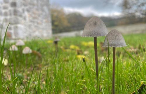 Casa Tilia - Foto 36