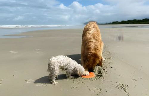 Casinhas Terõ - - Foto 63