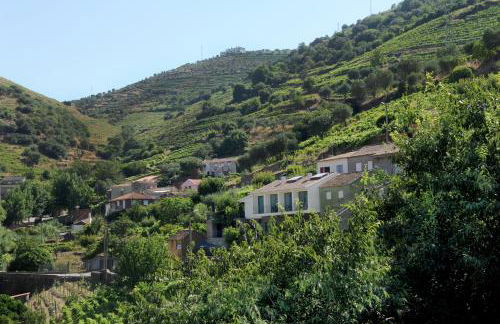 DouroXisto - Foto 29