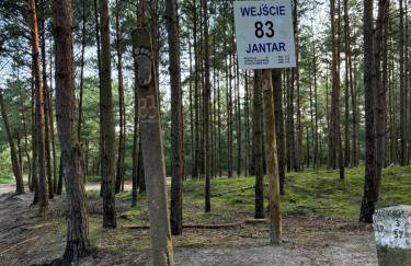 Resort Jantar - Photo 27