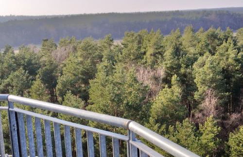 Waldhaus Hilde - Foto 29