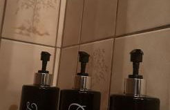 Blick auf den Rhein - Foto 40