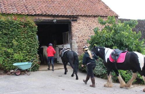 Pardlestone Farm – Self-Catering Cottages - Foto 44