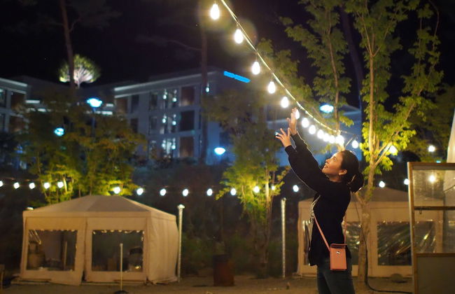 Pine Forest - Photo 32