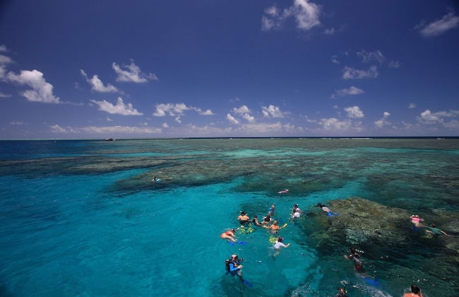 Cairns City Apartments - Photo 59