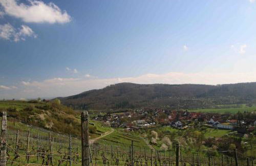 Fröhlich Wohnen in Fewo Frölich - Foto 33