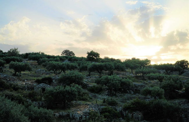 Villa Broč - Foto 67