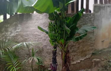 Recanto do Sossego - Foto 44