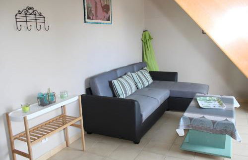 Gîte Ti Gwer - La Cour Chevalier - Foto 9