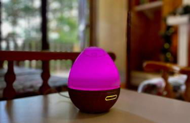 NadSan Mountain House - Photo 10