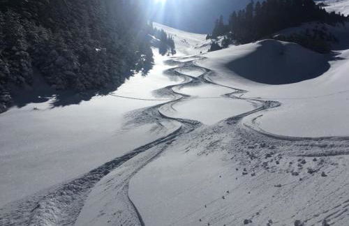 Stonehouse 2 Bedroom Chalet on Olympus Amazing View - Photo 51