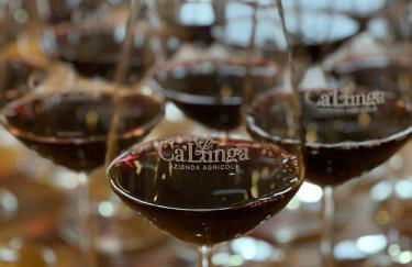 AZIENDA AGRICOLA CA' LUNGA - Foto 30