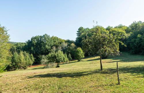 Cosy holiday home with garden - Foto 27